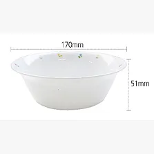 FIORE NOODLE SALAD BOWL